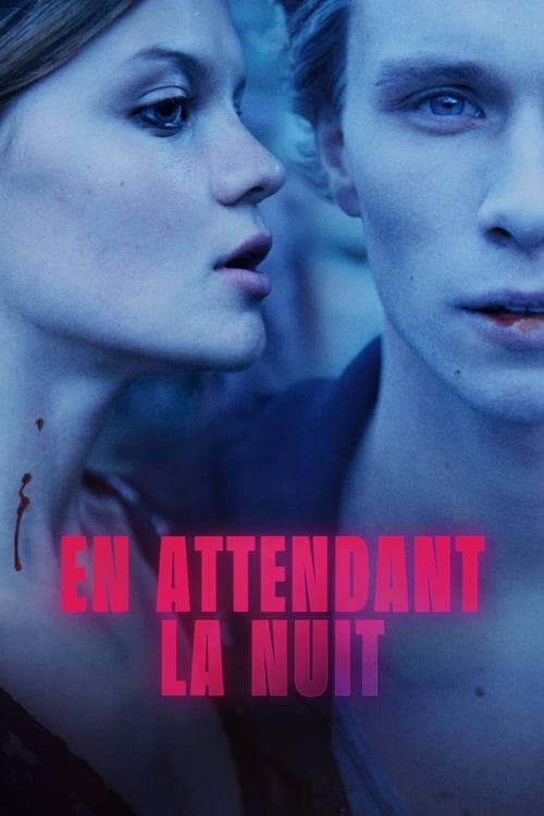 En attendant la nuit streaming gratuit vf vostfr 